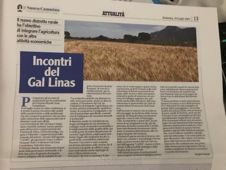 Articolo de "Il Nuovo Cammino"